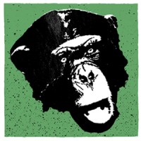 Morphium Film GbR logo - Similar company to Studio Krokodil