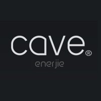 Cave Enerjie Group Ltd logo - Similar company to Veho Global Group