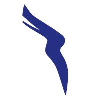 Raven logo - Similar company to Cyber People