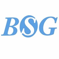 BSG Group logo - Similar company to Anyreality