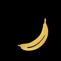 Spiral Monkey Marketing logo - Similar company to Cloud 9 Computing Group