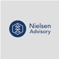 Nielsen Advisory logo - Similar company to Skintegrity.Ch