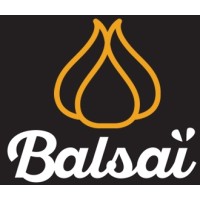 Balsaï Inc.