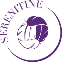 SERENITINE logo - Similar company to Csoec Electricité