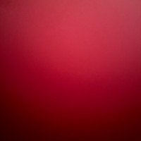 Delegate Studio logo - Similar company to Embraiced