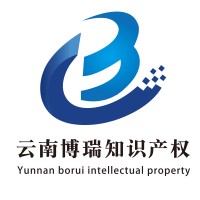 云南博瑞知识产权服务有限公司