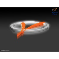 Sports View logo - Similar company to Team Store