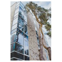 Grand Baltic Dunes I Hotel Palanga logo - Similar company to Afriko