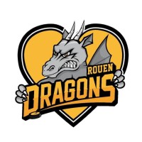 Fonds de Dotation Les Dragons logo - Similar company to Adele 76