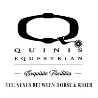 Quinis Design Works logo - Similar company to Linea Ceiling & Wall Systems