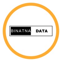 binatnadata logo - Similar company to Arkinz
