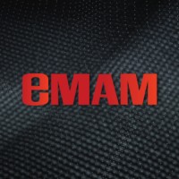 EMAM, Inc. logo - Similar company to Empress Infotech