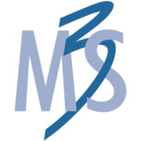 M3S s.r.l. logo - Similar company to Docspace S.R.L.