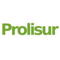 PROLISUR Ingeniería y Construcción logo - Similar company to Revescoan