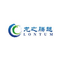 FOSHAN LONTUM CHEMICALS logo - Similar company to Graffiti Kings 👑