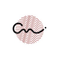 Capital Noise Management Group