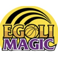 Egoli Magic Basketball logo - Similar company to Collapssi