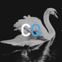 DigitalQuant Capital logo - Similar company to Deepquant Group