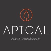 Apical Analysis, Design & Strategy logo - Similar company to Strive Connecting