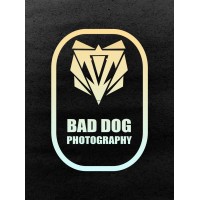 Bad Dog Photography