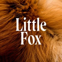 Little Fox Design logo - Similar company to Ward Advisory