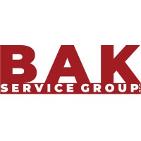 BAK Service Group logo - Similar company to Virtumedia