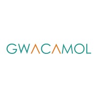 Gwacamol logo - Similar company to Pivot Analysis