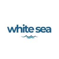 White Sea logo - Similar company to Receipt Bot