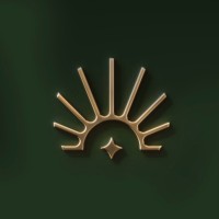 King Star Mobiles logo - Similar company to Al Yash Typing Services