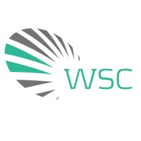 WS Consulting logo - Similar company to Sonodes