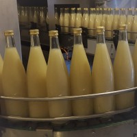 JUS DE FRUITS ROTHGERBER logo - Similar company to La Boissonnerie