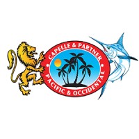 Capelle & Partner - Pacific & Occidental logo - Similar company to Metal Building Engineering, Llc