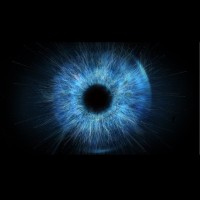 Freelance Software Consultant logo - Similar company to Software Consultant