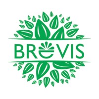 BREVIS LTD logo - Similar company to Magic Flame