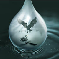 Digital-Media Hungary! - 2025. május 13-14. logo - Similar company to Ecommerce Hungary