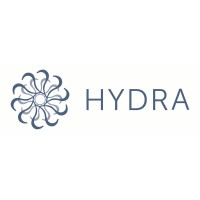 Hydra Strategy logo - Similar company to Whitworth Brough