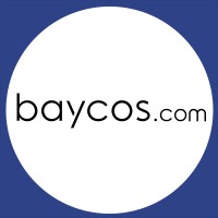 Baycos Inc logo - Similar company to Xlntbrain