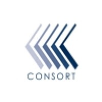 Consort Consultancy Services Ltd logo - Similar company to Thomas Quinn Chartered Accountants
