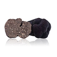 TruffeFrance logo - Similar company to Mecojit