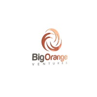 Big Orange Ventures