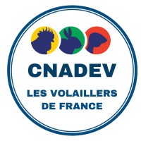 CNADEV logo - Similar company to Aeioros Servicios