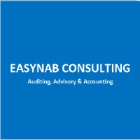 EASYNAB CONSULTING logo - Similar company to Cabinet E2