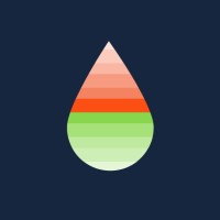 Rainier RevOps logo - Similar company to Pixel Planet