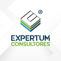 Expertum Consultores logo - Similar company to Finh Soluciones Económicas