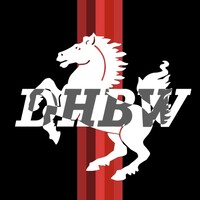 DHBW Engineering Stuttgart e.V. logo - Similar company to Ecurie Aix - Formula Student Team Rwth Aachen E.V.