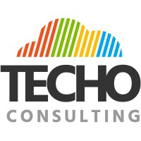 TECHO Consulting logo - Similar company to Techo Solution