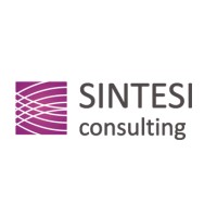 Sintesi Consulting (EN) logo - Similar company to Taxcube