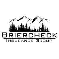 Briercheck Insurance Group