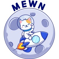 Mewn logo - Similar company to Bd In Web3