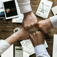 Wayne Grace Lane logo - Similar company to Mdoq®